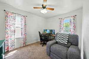 Office with carpet and ceiling fan