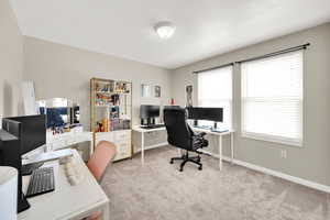 Office space with carpet and baseboards