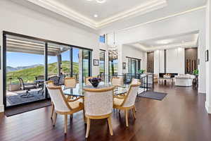 Dining area featuring a tray ceiling, a mountain view, a chandelier, and dark wood finished floors