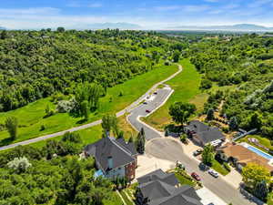 Aerial view of a forest and a mountain backdrop