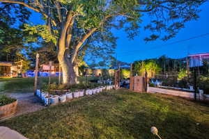 View of green lawn