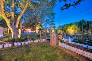View of yard with a vegetable garden