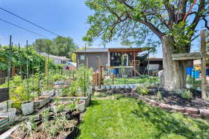 View of green lawn featuring a vegetable garden