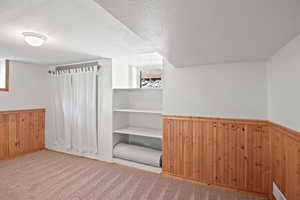 Bonus room featuring wainscoting, wooden walls, a textured ceiling, and carpet flooring
