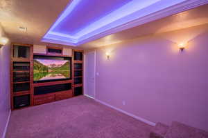 Cinema room featuring carpet flooring, a textured ceiling, and a tray ceiling