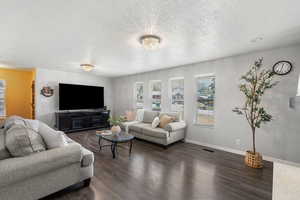 Living room featuring a textured ceiling and dark wood-style floors