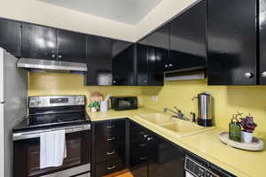Kitchen with stainless steel electric range, dark cabinets, and under cabinet range hood