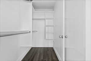 Walk in closet with dark wood-type flooring