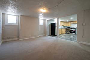 basement living room