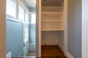 Pantry off the upstairs kitchen and view of back door and stairs to the basement