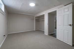 Second Basment bedroom