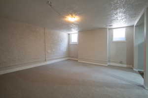 Basement living room