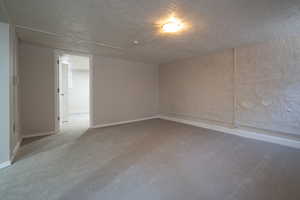 basement living room