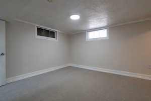 first and biggest basement bedroom