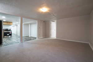 basement living room