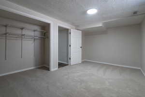 Second basement bedroom