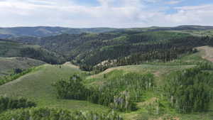 View of mountain background with a heavily wooded area