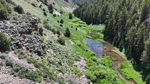 View of property location with a forest