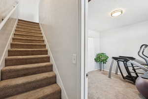 Stairway with carpet floors and a textured wall
