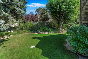 Large Back Yard with a Pond