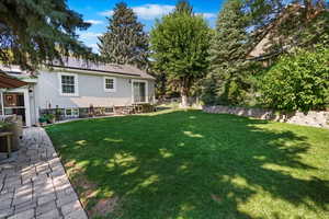 Great Back Yard