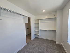 Spacious closet with carpet
