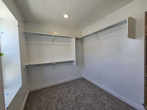 Walk in closet with carpet floors