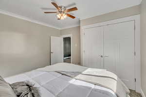 Primary bedroom featuring a closet, crown molding, and a ceiling fan
