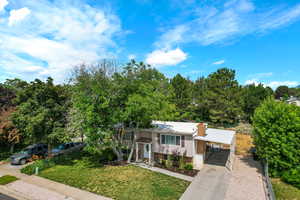 View of front of home featuring concrete driveway, an attached carport, and a chimney