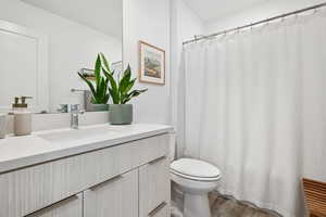 Full bathroom featuring vanity, wood finished floors, and a shower with shower curtain