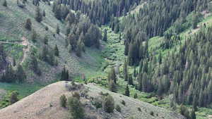 View of property location featuring a heavily wooded area