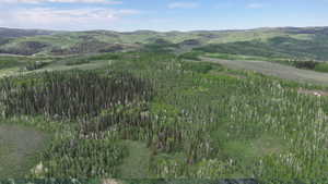 View of mountain background