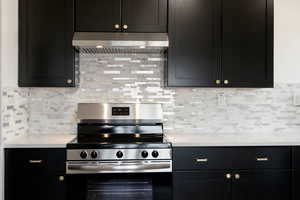 Kitchen featuring brand new stainless steel appliances, under cabinet range hood, quartz countertops, black cabinets