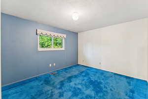 Carpeted spare room with a textured ceiling and baseboards