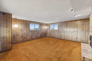 Below grade area with wood walls, a textured ceiling, and carpet