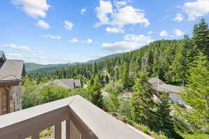 View of mountain backdrop with a forest