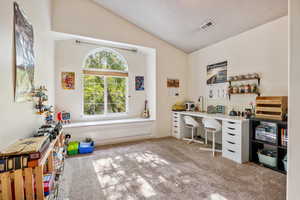 Carpeted bedroom with vaulted ceiling