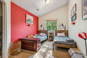 Carpeted bedroom with vaulted ceiling