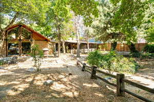 Rear view of house
