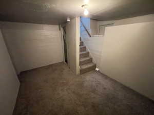 Basement with stairs and carpet flooring