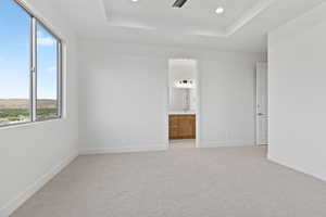 Unfurnished room featuring a raised ceiling, plenty of natural light, light carpet, and recessed lighting
