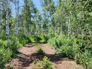 View of undeveloped land
