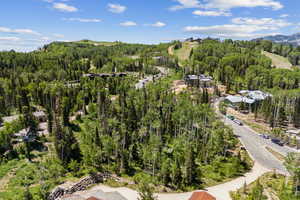 Bird's eye view of a heavily wooded area and mountains