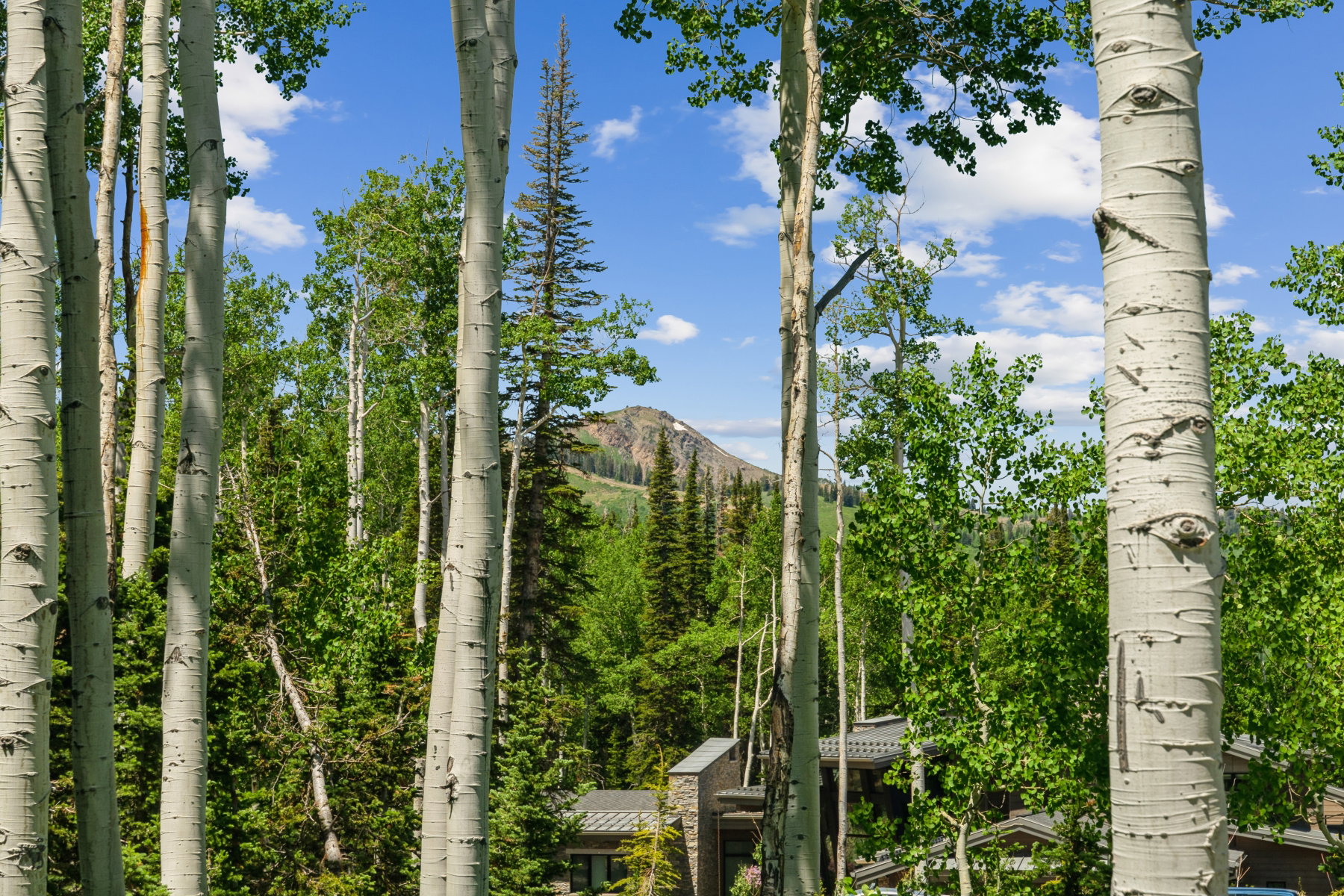 View of mountain backdrop