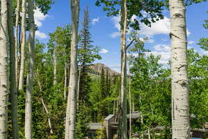 View of mountain backdrop
