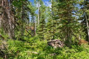 View of yard with a wooded view