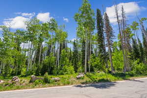 View of asphalt road