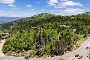 View of mountain backdrop with a forest