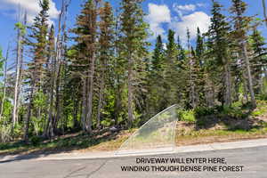 View of asphalt road