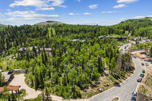 Bird's eye view of a heavily wooded area and a mountainous background